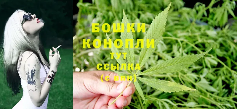 Шишки марихуана LSD WEED  купить закладку  Вельск 